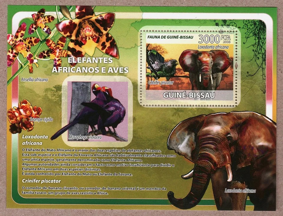 Guinea Bissau 2008 African Elephants And Birds M/S MNH