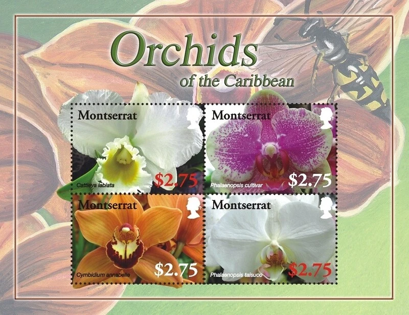 Montserrat 2008 Orchids of The Caribbean M/S MNH