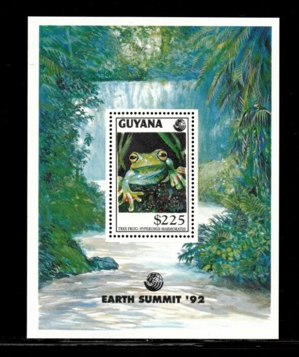 Guyana 1993 Earth Summit Frogs M/S MNH