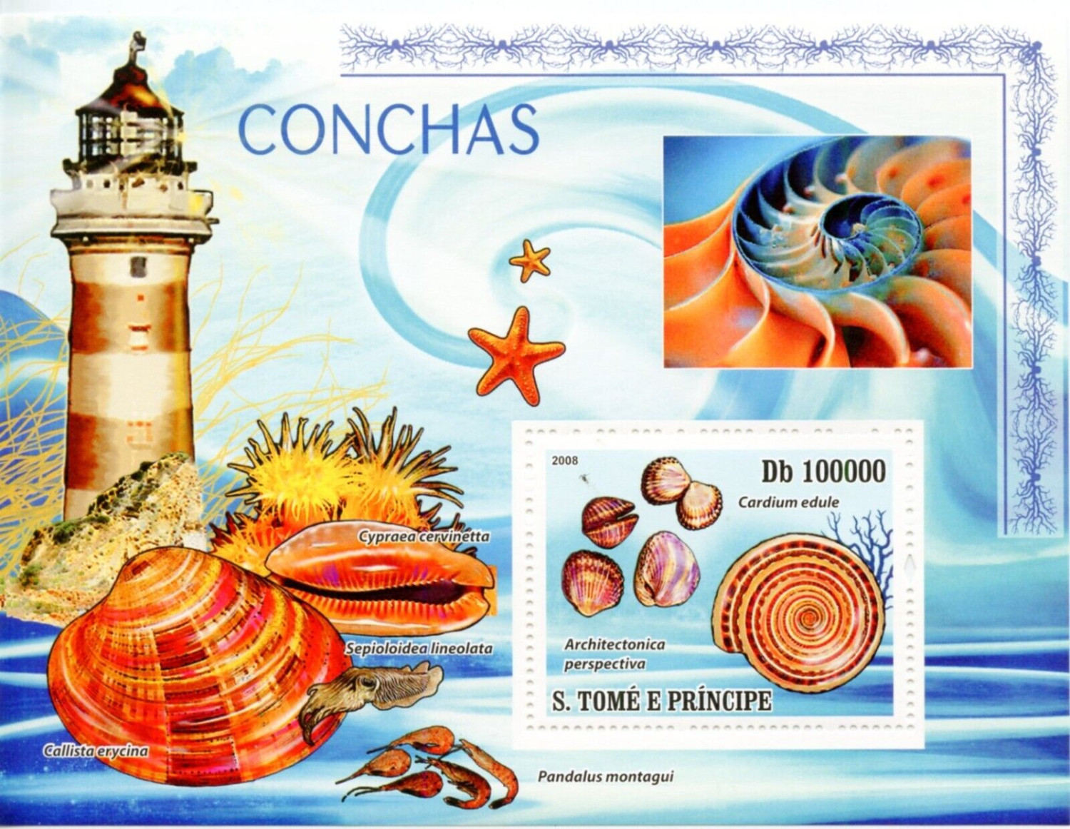 Sao Tome 2008 Sea Shell M/S MNH