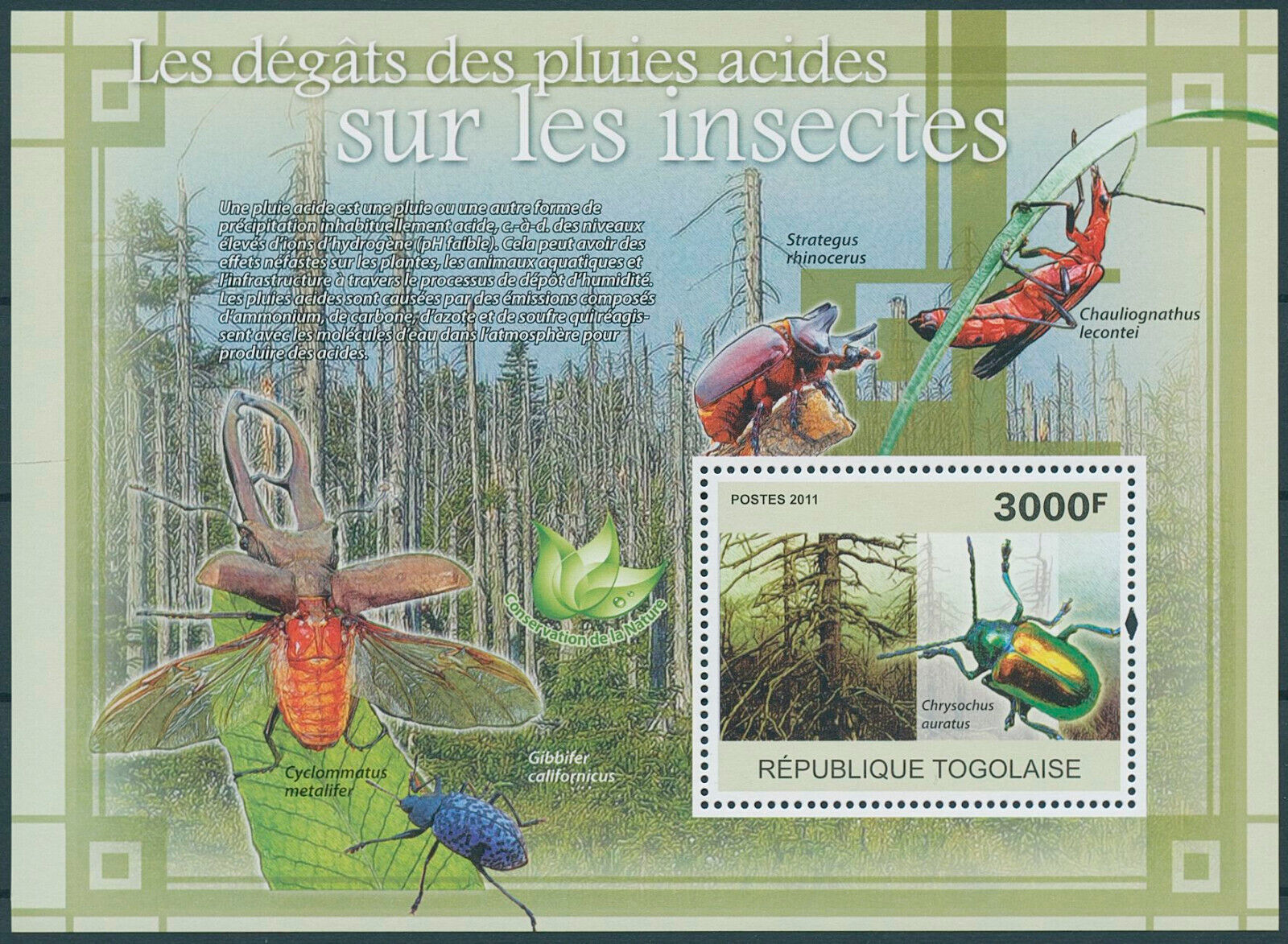 Togo 2011 Acid Rain Damage Insects Beetles M/S MNH