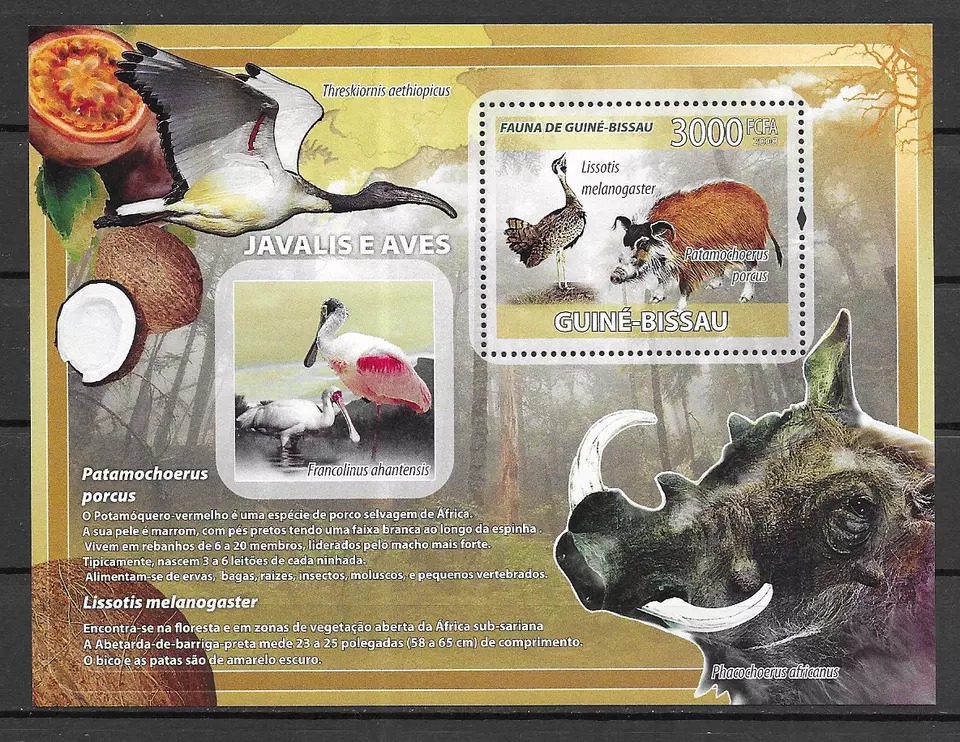 Guinea Bissau 2008 Boars & Birds M/S MNH