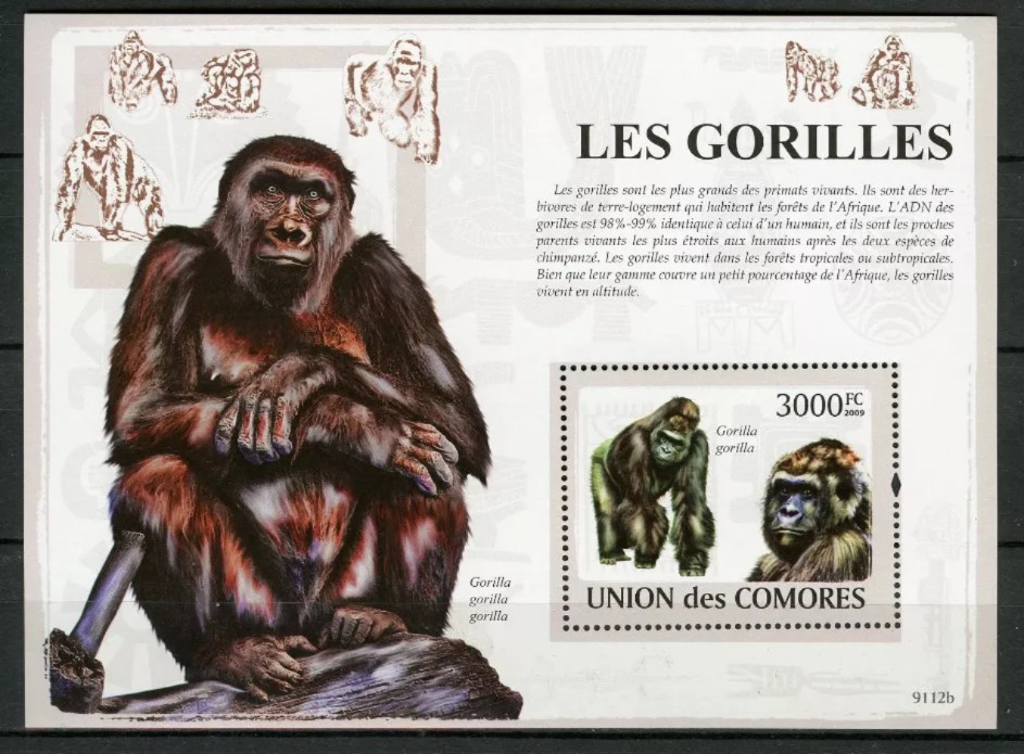 Comores 2009 Gorilles Wild Animals  M/S HMN