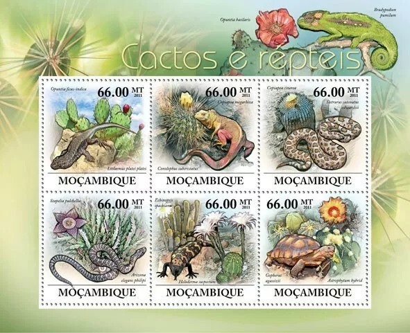 Mozambique 2011 Cactuses & Reptiles M/S HMN
