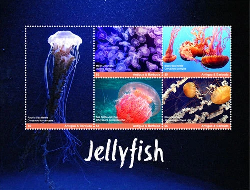 Antigua and Barbuda 2017 Jellyfish M/S MNH