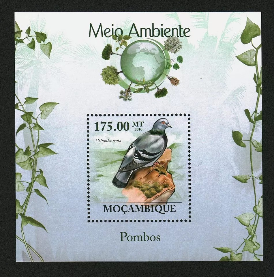 Mozambique 2010 Pigeons Birds M/S HMN
