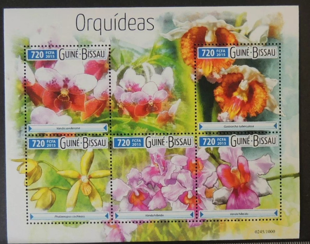 Guinea Bissau 2016 Orchids Flowers M/S MNH