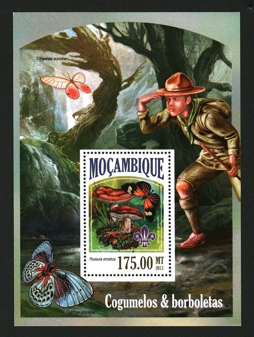 Mozambique 2013 Mushrooms & Butterflies M/S HMN