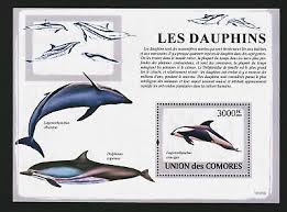 comores 2009 Dolphin M/S MNH