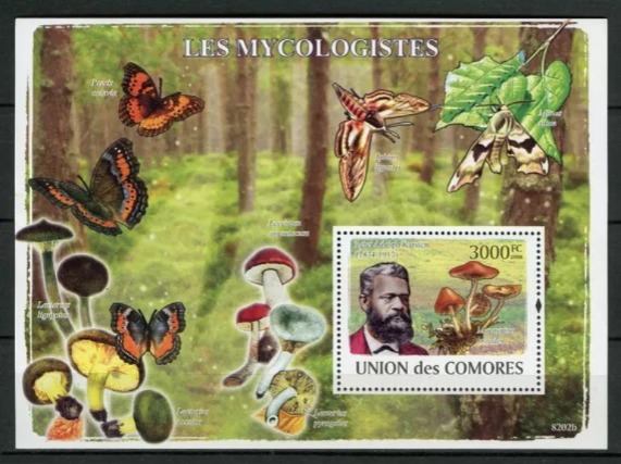 Comores 2009 Comores 2008 Mycologists Mushrooms M/S MNH