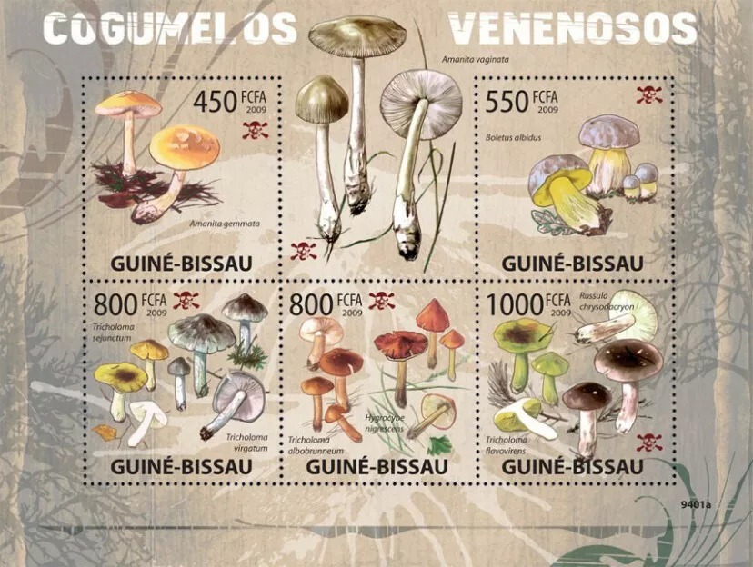 Guinea Bissau 2008 Mushrooms M/S MNH