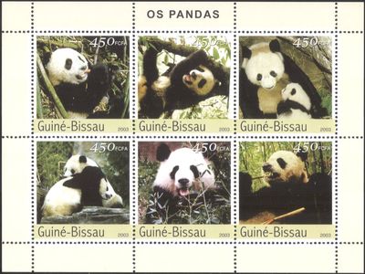 Guinea Bissau 2003 Pandas Animals Stamp M/S MNH