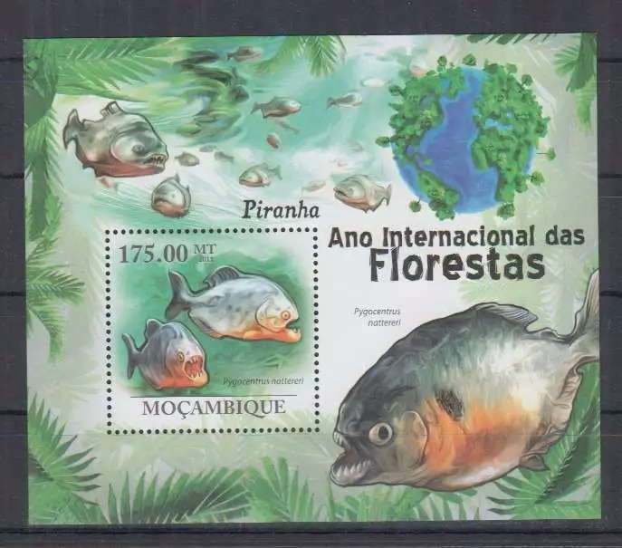 Mozambique 2011 Marine Life Fish M/S MNH