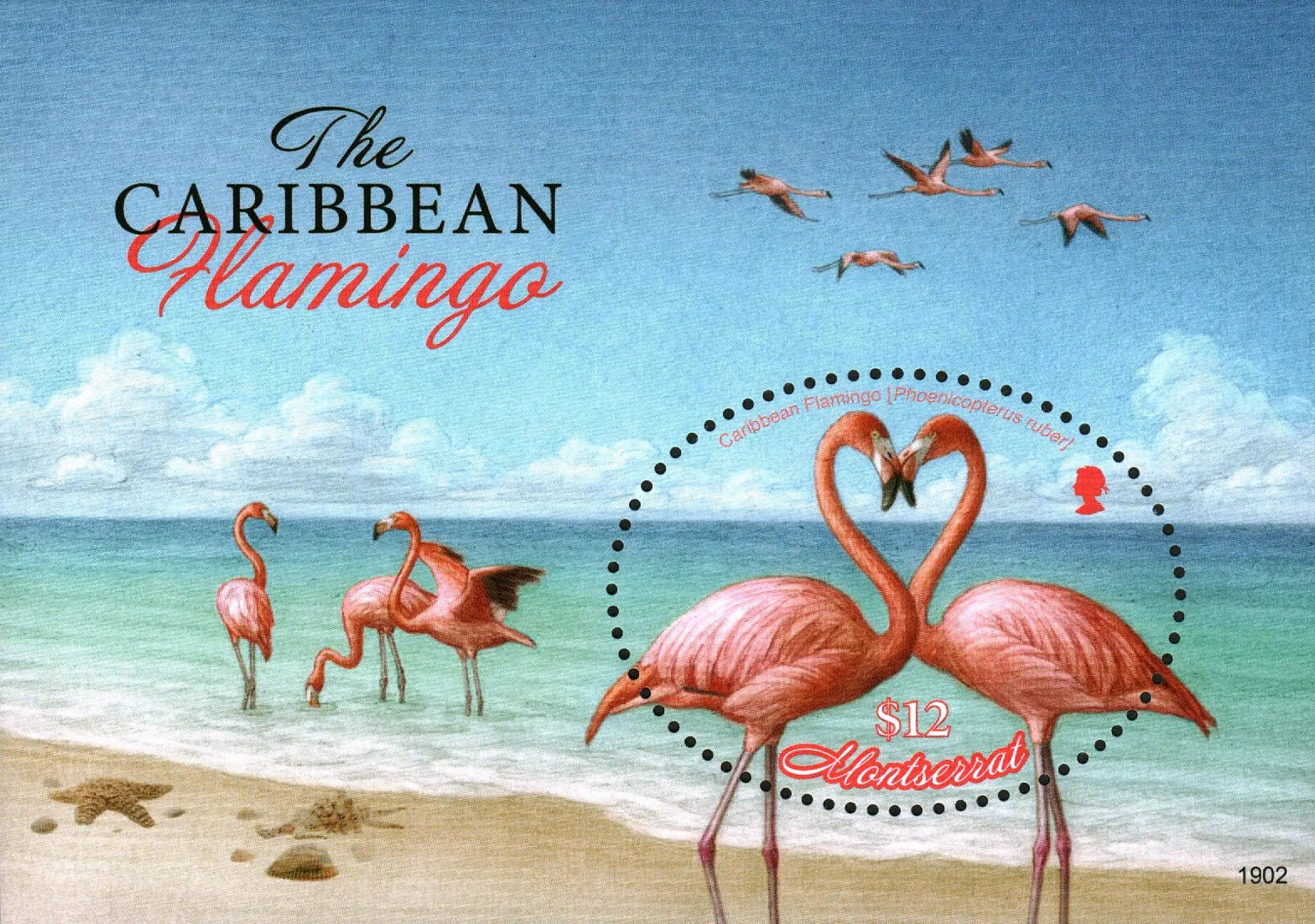 Montserrat 2019 Caribbean Flamingo Marine Life M/S MNH