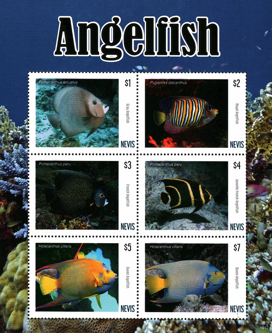 Nevis 2019 Angelfish Marine Life M/S MNH