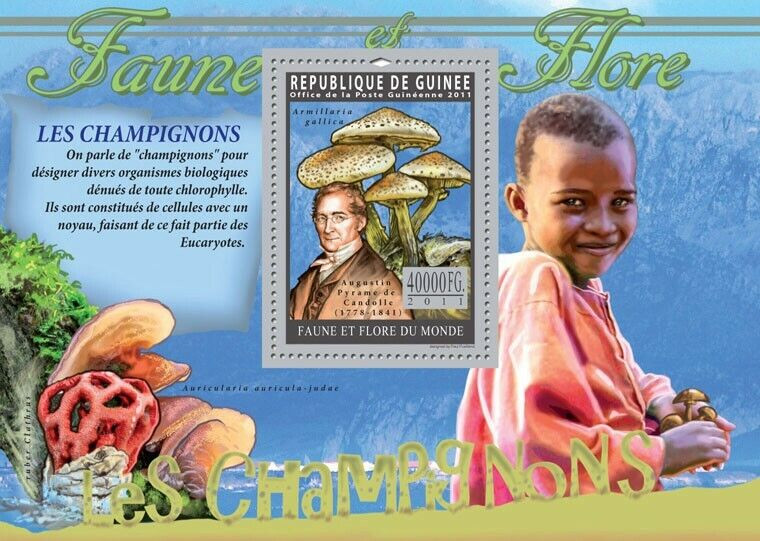 Guinee 2011 Mushrooms M/S MNH