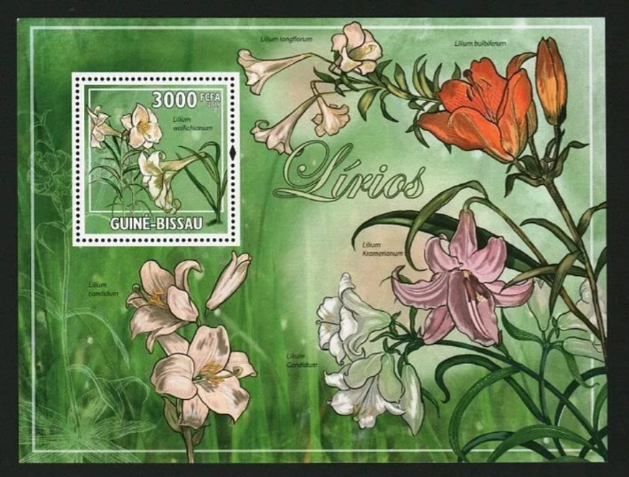 Guinea Bissau 2008 Lillie Flowers M/S MNH