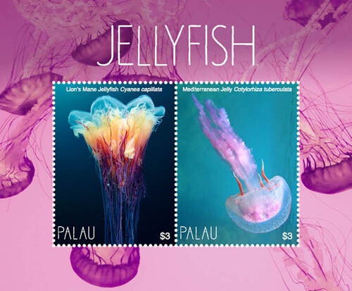 Palau 2017 Jellyfish Marine Life M/S MNH