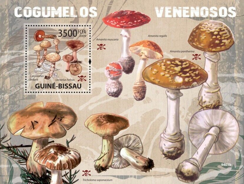 Guinea Bissau 2009 Mushrooms M/S MNH
