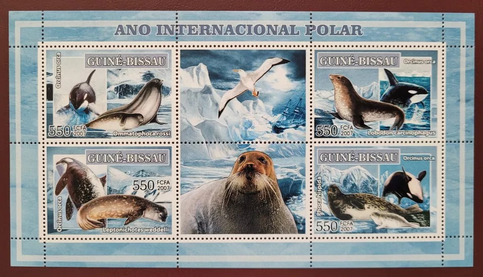 Guinea Bissau 2007 International Polar Year & Dolphins